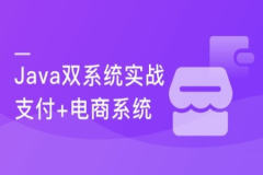 Java通用型支付+电商平台双系统实战  | 完结