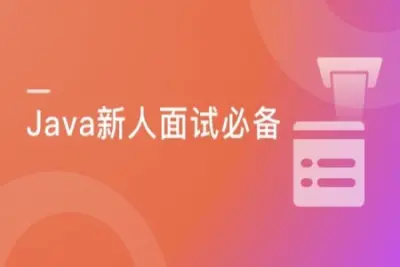 Java面试新手课 Google面试官亲授 巧夺大厂Offer | 完结