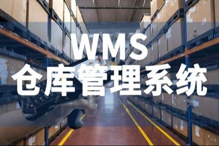 基于 Spring Cloud 微服务的 元蜂WMS仓库项目实战课程(资料完整)