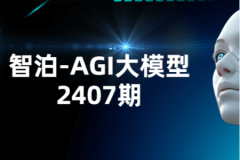 智泊-AGI大模型2407期