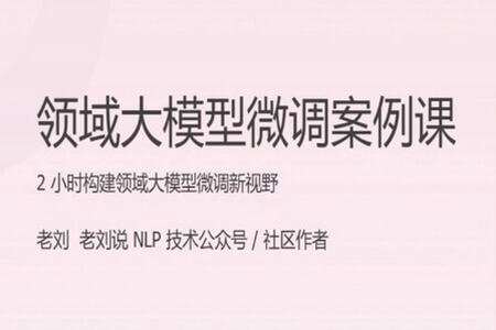 领域大模型微调案例课