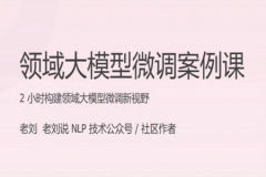 领域大模型微调案例课