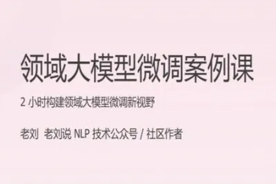 领域<em>大</em><em>模型</em>微调案例课