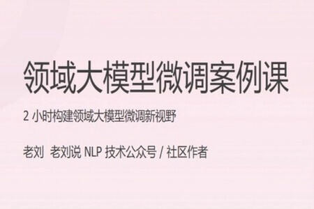 领域大模型微调案例课