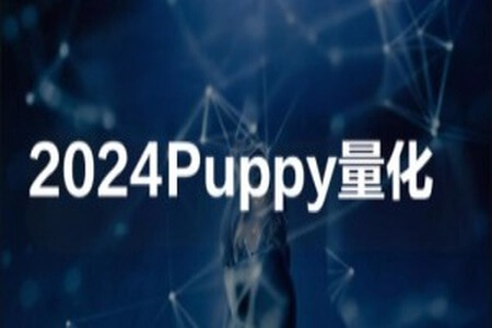 2024Puppy量化