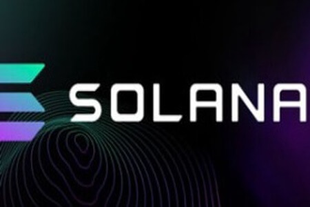 使用Rust和Typescript的Solana区块链开发者训练营(英文版)