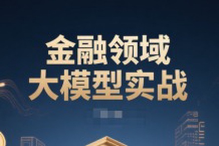 金融领域大模型实战