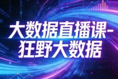大数据直播课-狂野大数据