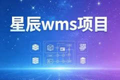 星辰wms项目