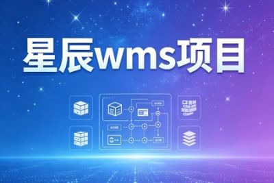 星辰wms项目
