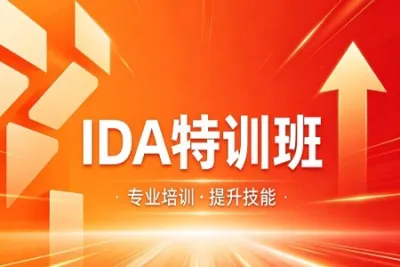 IDA特训班