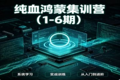纯血鸿蒙集训营（1-6期）